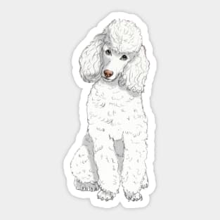 Toy poodle W Sticker